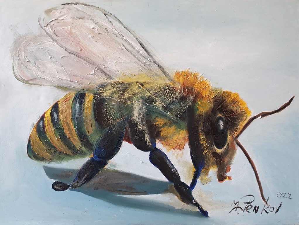 Pčela, ulje na platnu, 60×80 cm, akademski slikar M. Penkov, sertifikat, 300 eura